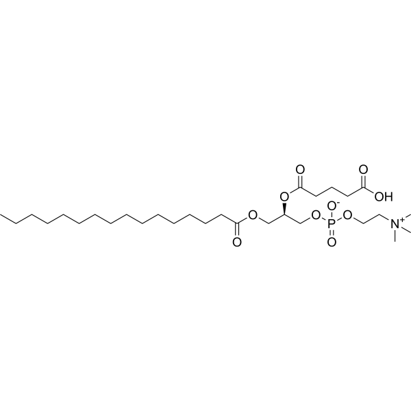 1-Palmitoyl-2-glutaryl-sn-glycero-3-phosphocholine 89947-79-5